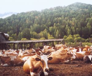  ������ ����� ����� ����������. ��� �������, ���� ������ �������� 