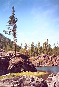  � ���� - �� ������� �����, ������� ������� 